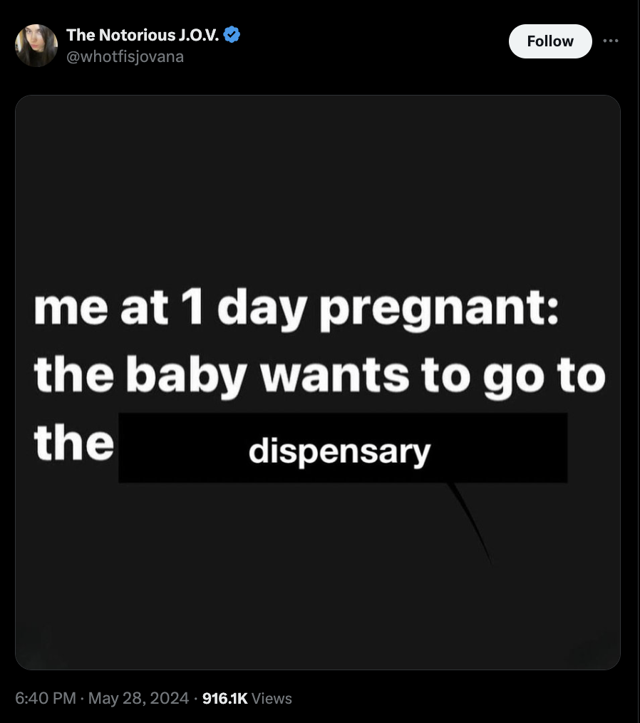 screenshot - The Notorious J.O.V. me at 1 day pregnant the baby wants to go to the dispensary Views